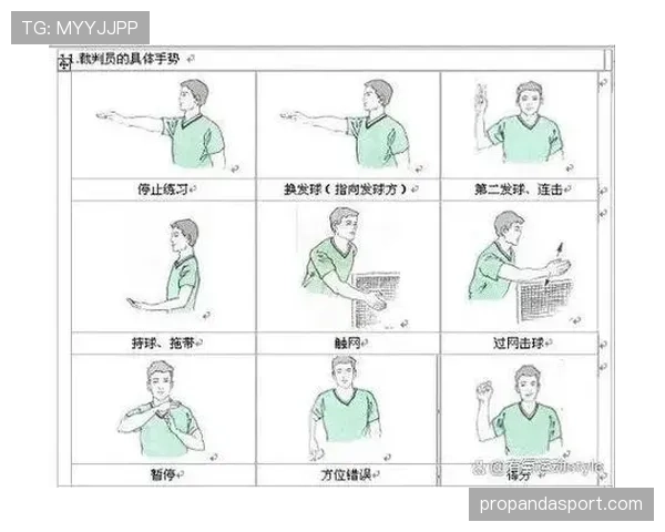 挑边规则的核心步骤和裁判判罚细节全解析