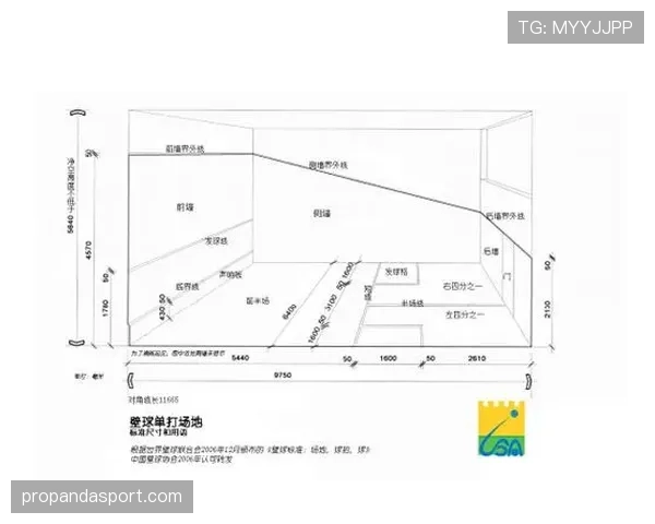 足球判罚标准详解：裁判如何依据规则准确判定犯规