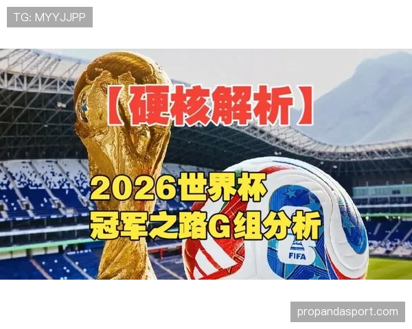 世界杯G组出线概率最新预测