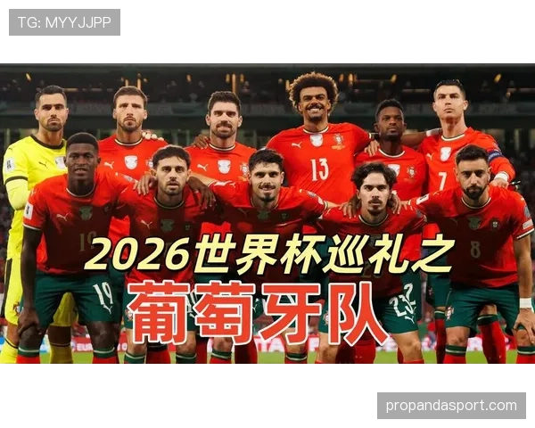 世界杯K组数据模型预测